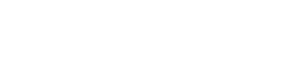 Kuehne + Nagel Logo